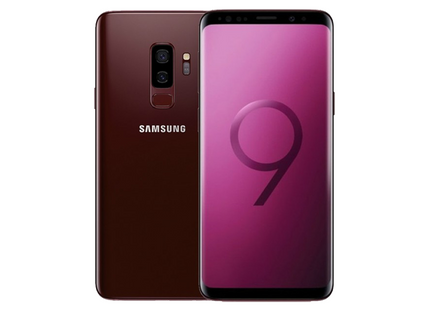 Burgundy Red